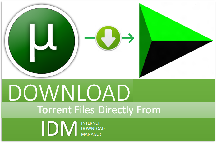 How to download torrent files with IDM